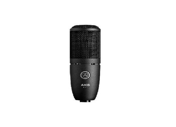 AKG P120