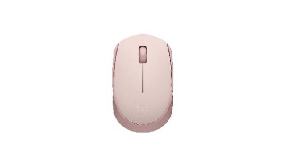 Logitech M170