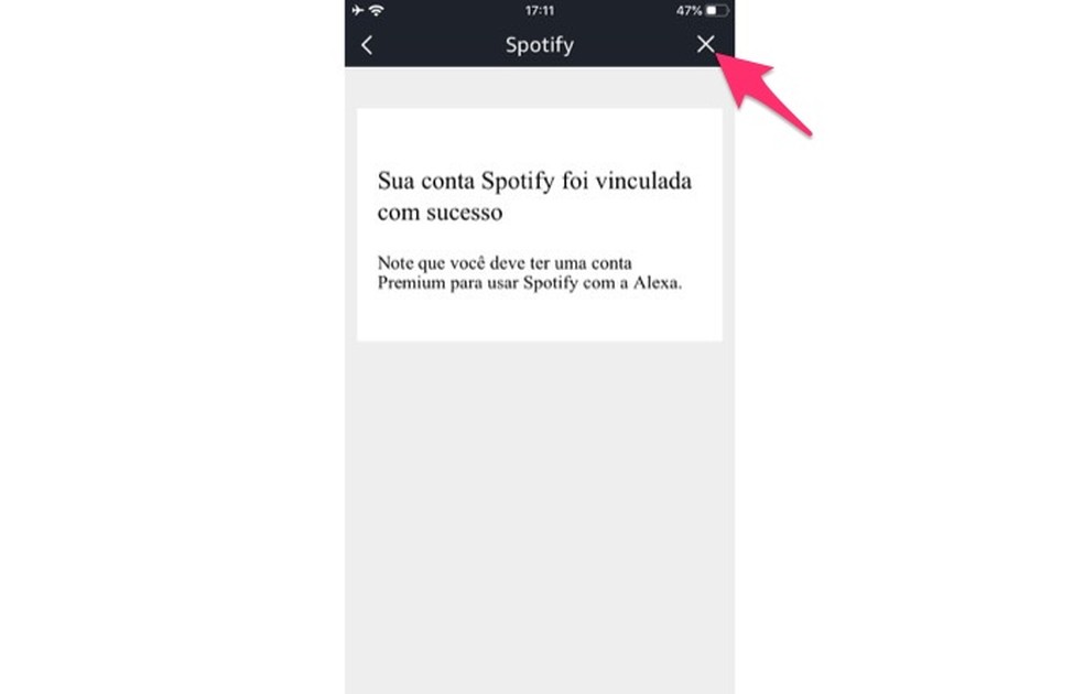 Confirmação de vinculação do Spotify com uma Amazon Alexa — Foto: Reprodução/Marvin Costa