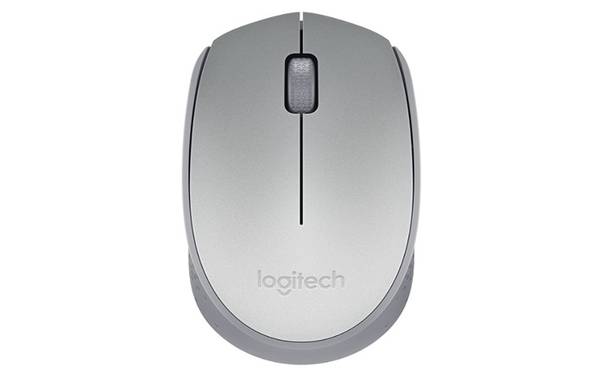 Logitech M170 