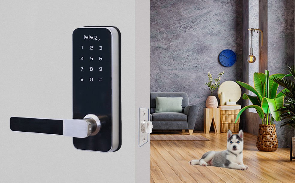 Papaiz Smart Lock SL100 permite cadastro de até nove senhas de até 14 dígitos e de 99 cartões de proximidade — Foto: Divulgação/Papaiz